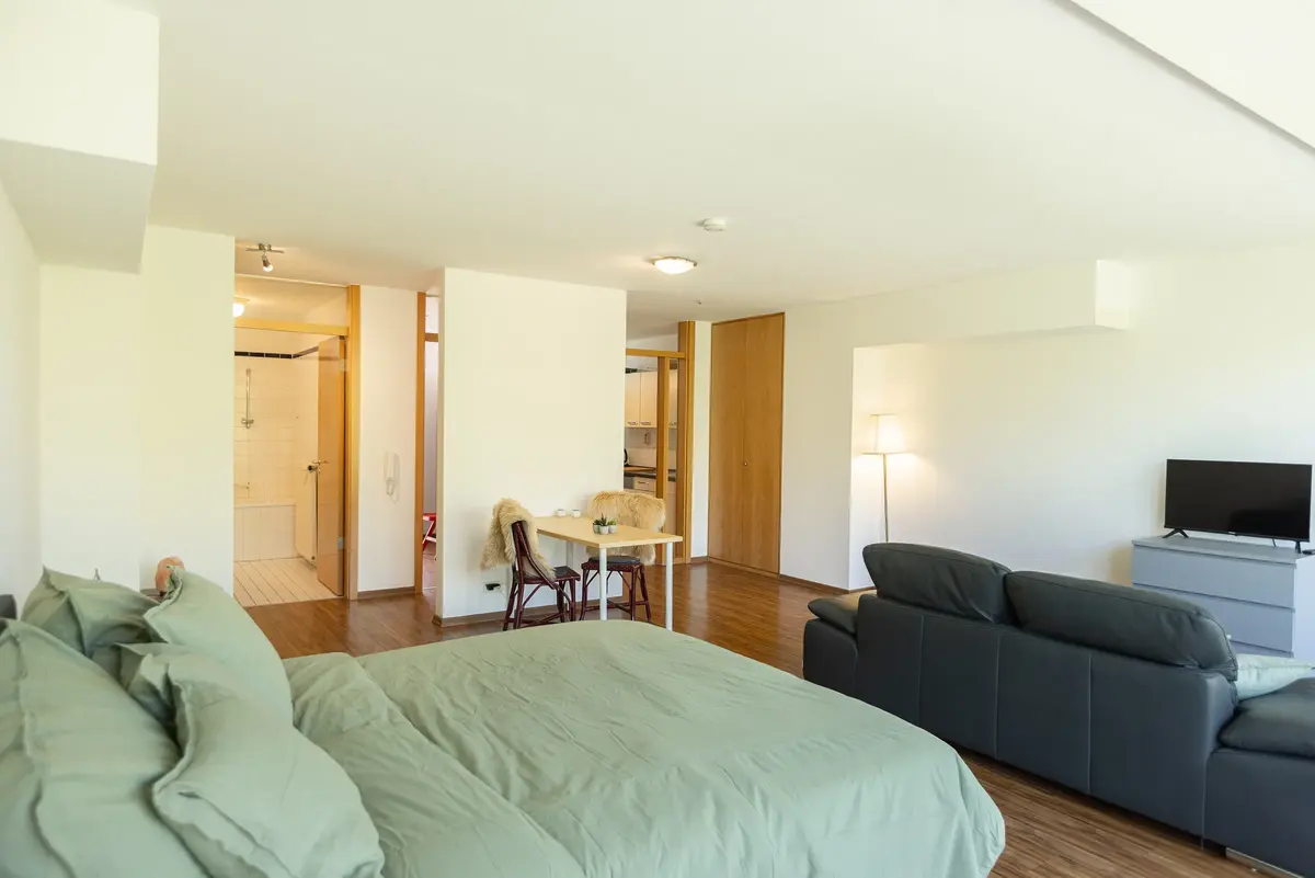 Studio, 1-Zimmer-Apartment, CopperRoof Apartments Merseburg, Ansicht 9